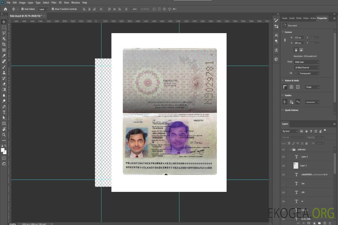 Passeport du Sri Lanka 2021-présent template Passeport du Sri Lanka 2021-présent template